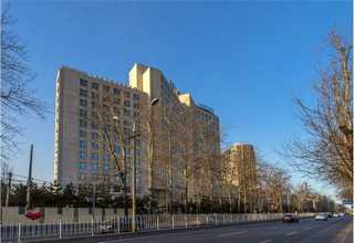 南漳冷凝式燃气锅炉批发价