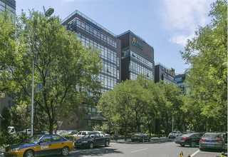 北京园林扎带哪家好